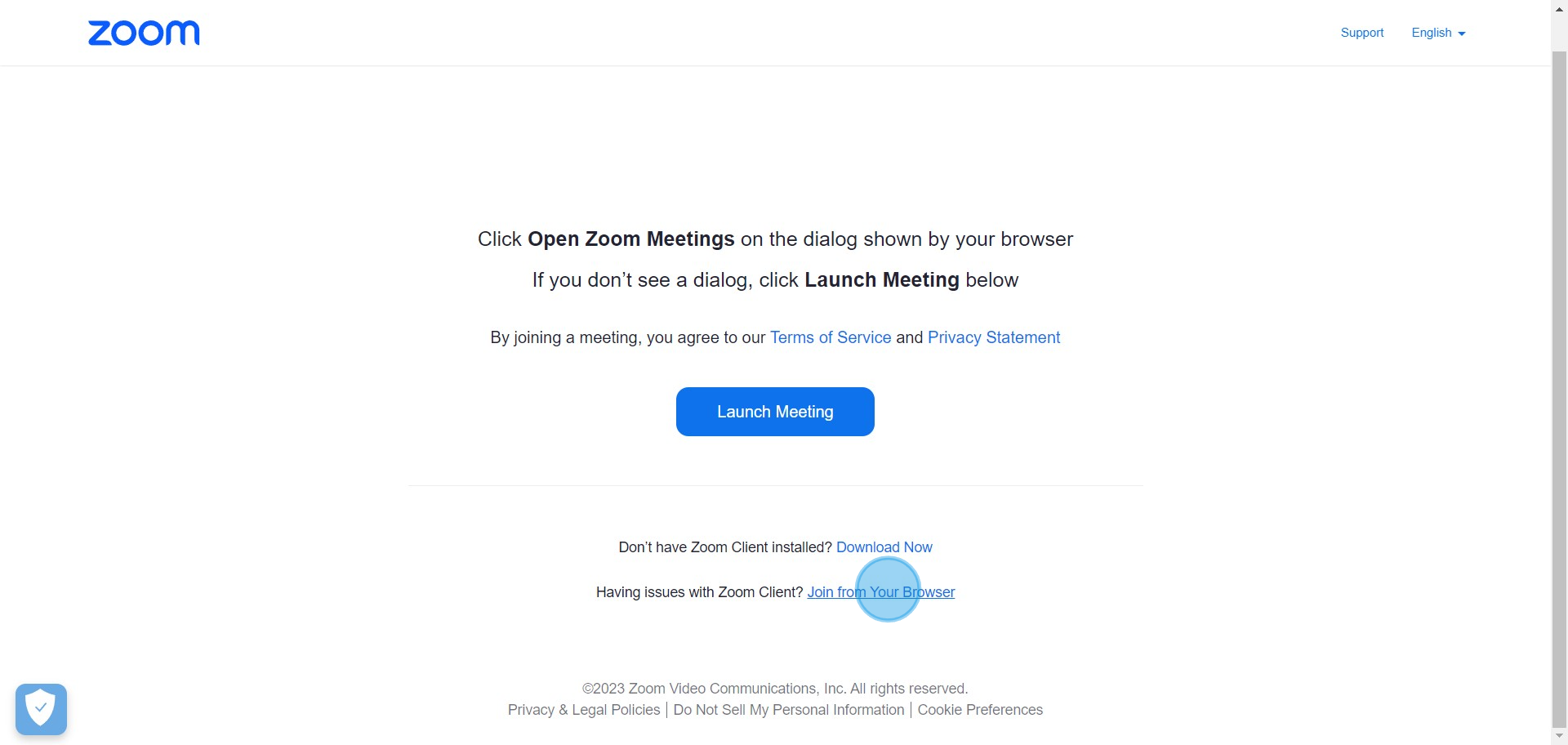 4 Click on "Join from Your Browser"