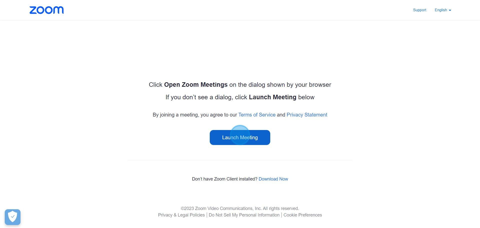 3 Click on "Launch Meeting"