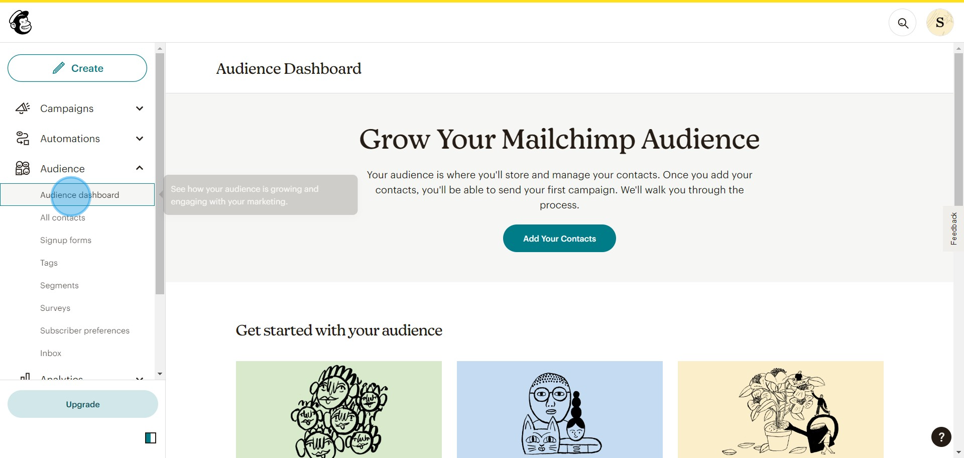 2 Click on "Audience dashboard"