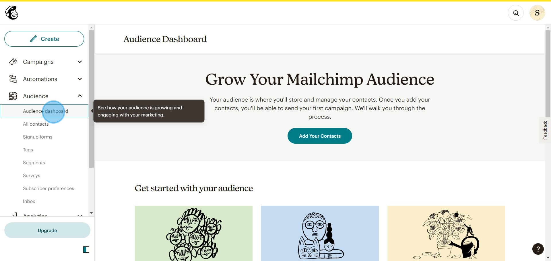 2 Click on "Audience dashboard"