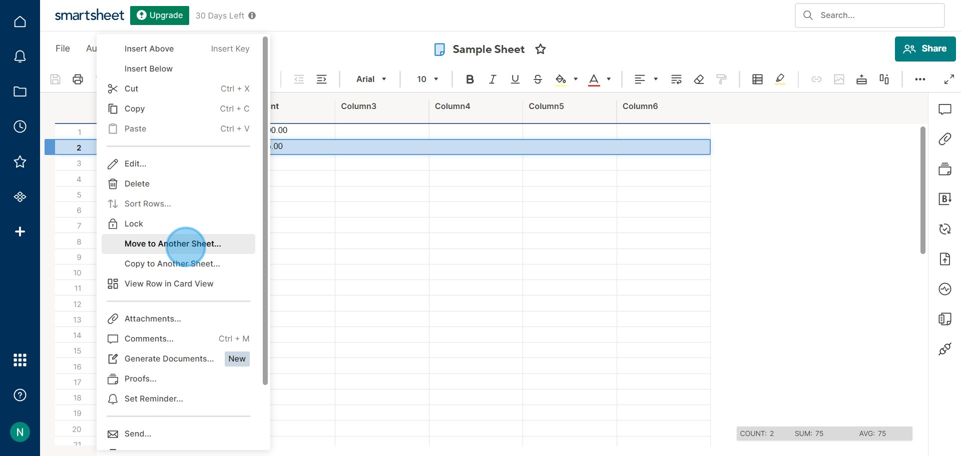 3 Click on "Move to Another Sheet..."