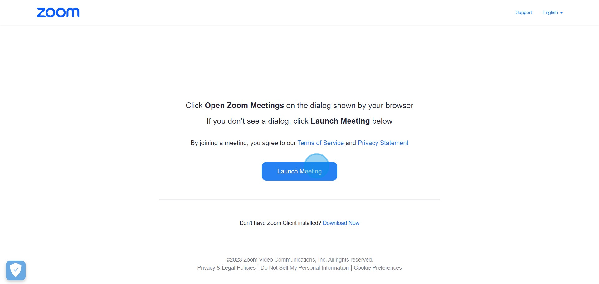 3 Click on "Launch Meeting"