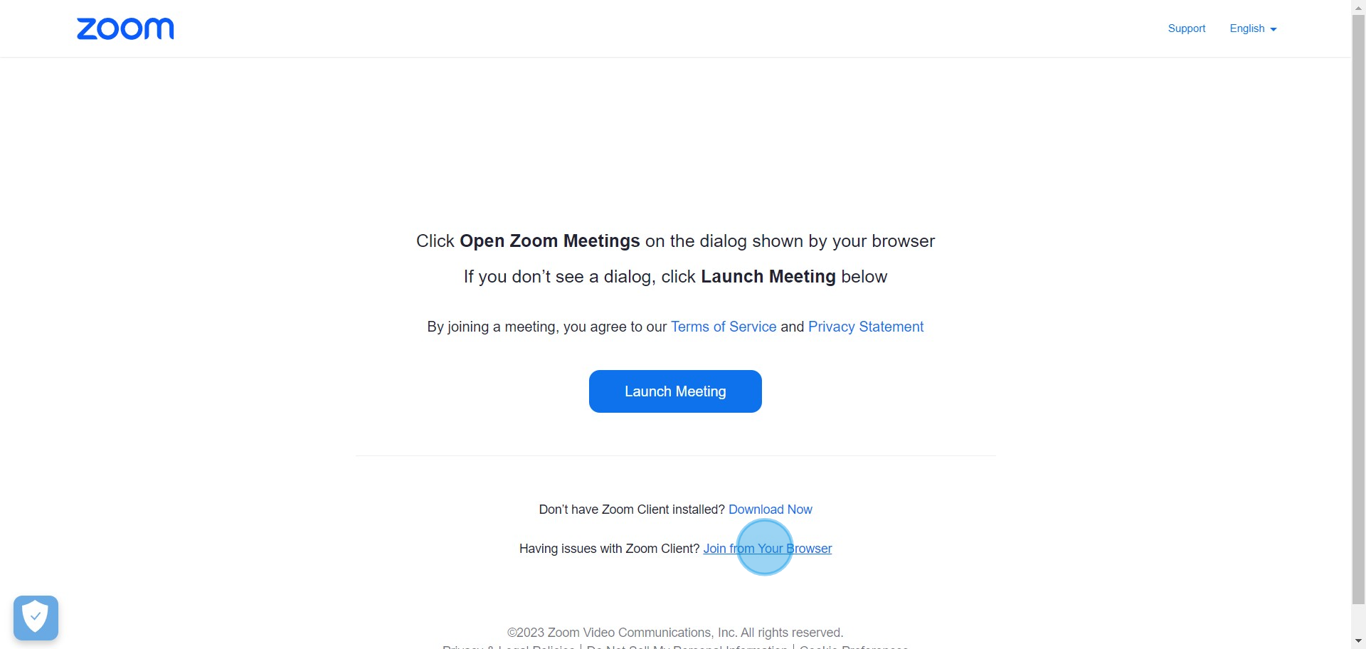 4 Click on "Join from Your Browser"