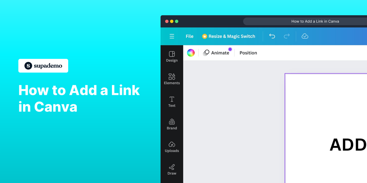 How to add a link in Canva