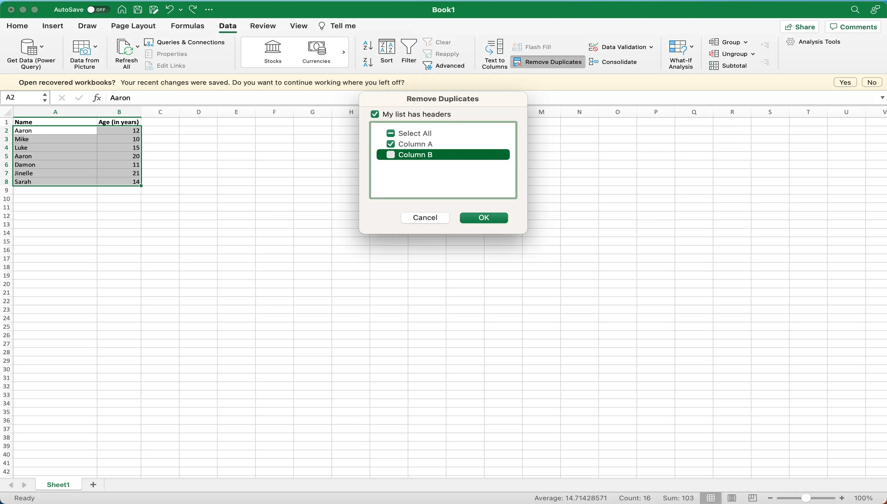 Microsoft Excel