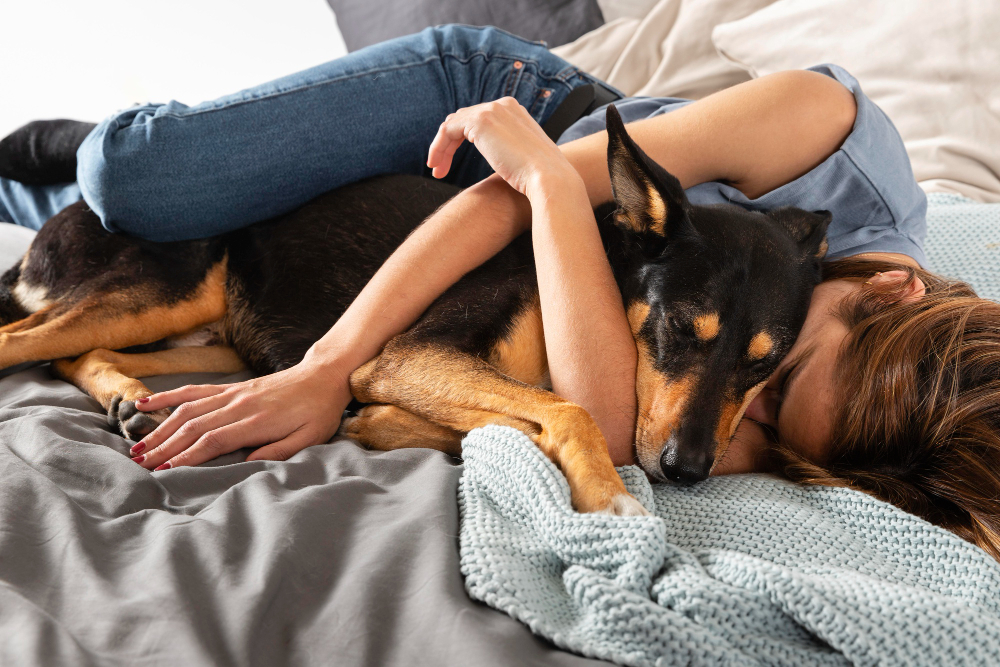 Convivir con perros aporta múltiples beneficios para la salud mental: reduce la ansiedad, mejora el ánimo, fortalece el corazón y protege frente al deterioro cognitivo.
