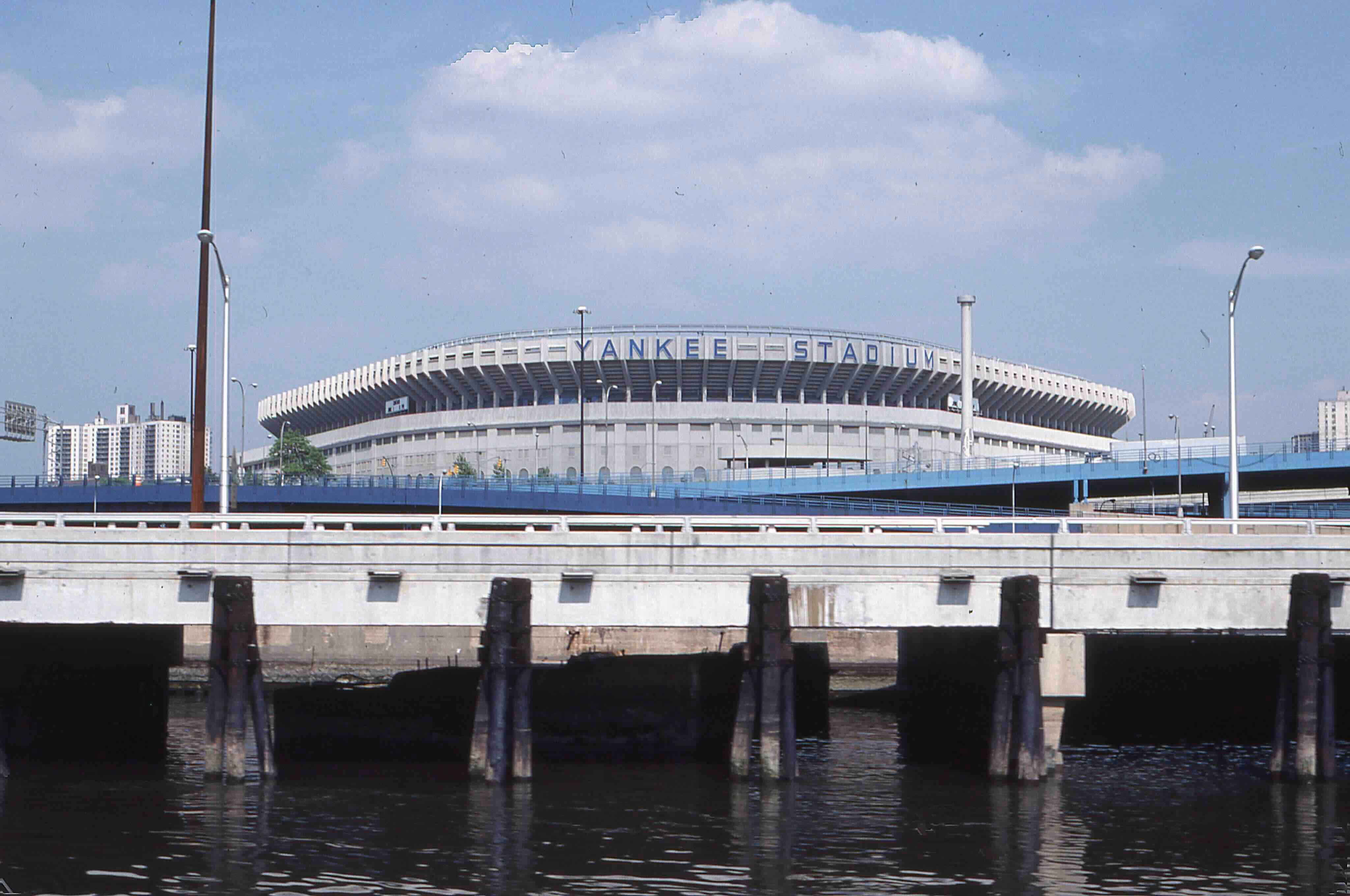 Fans Yankees