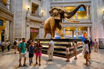 Musée d’Histoire Naturelle