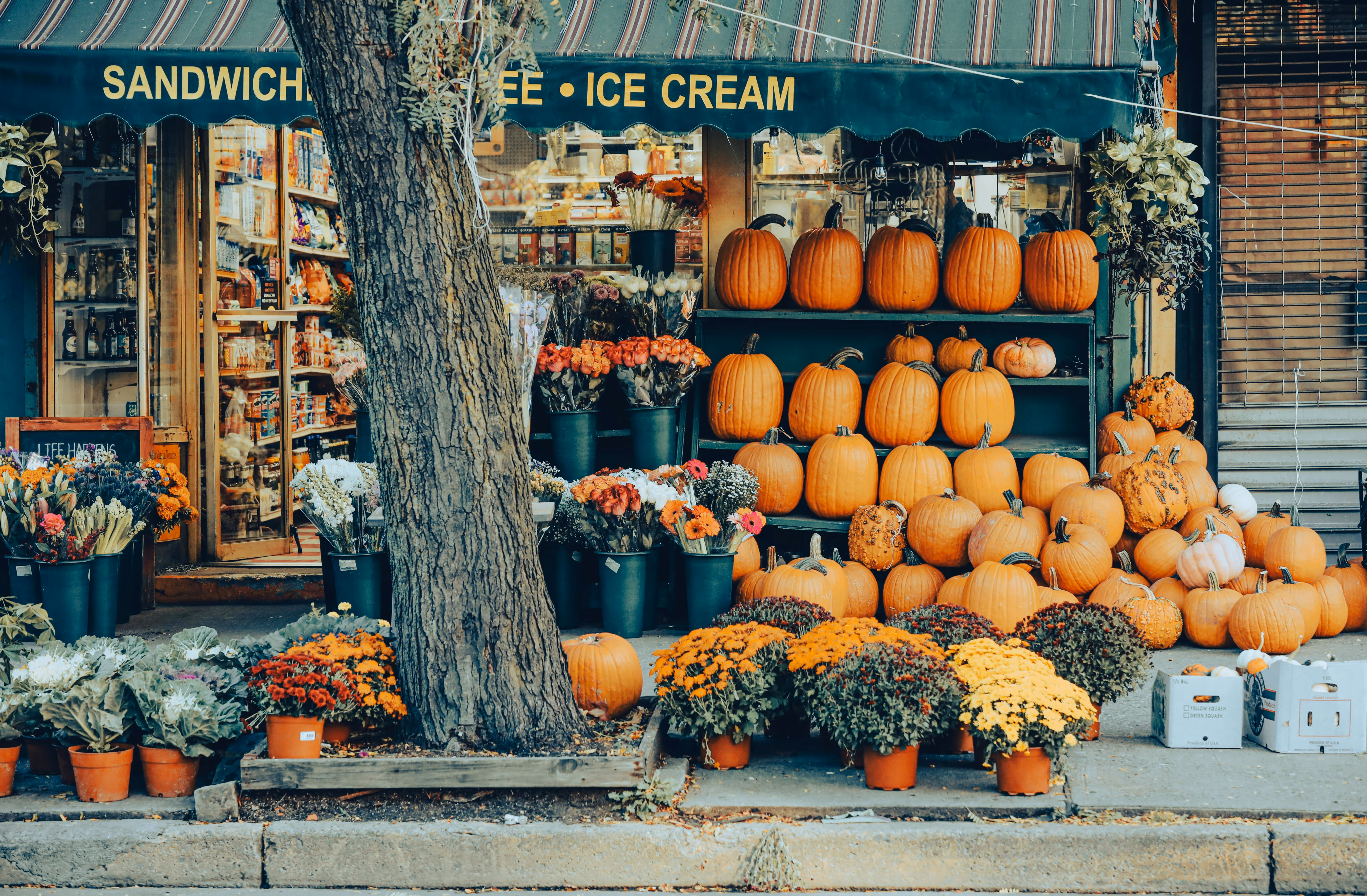 Décorations d'Halloween à New York en octobre