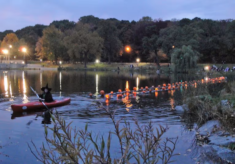 Citrouilles Central Park