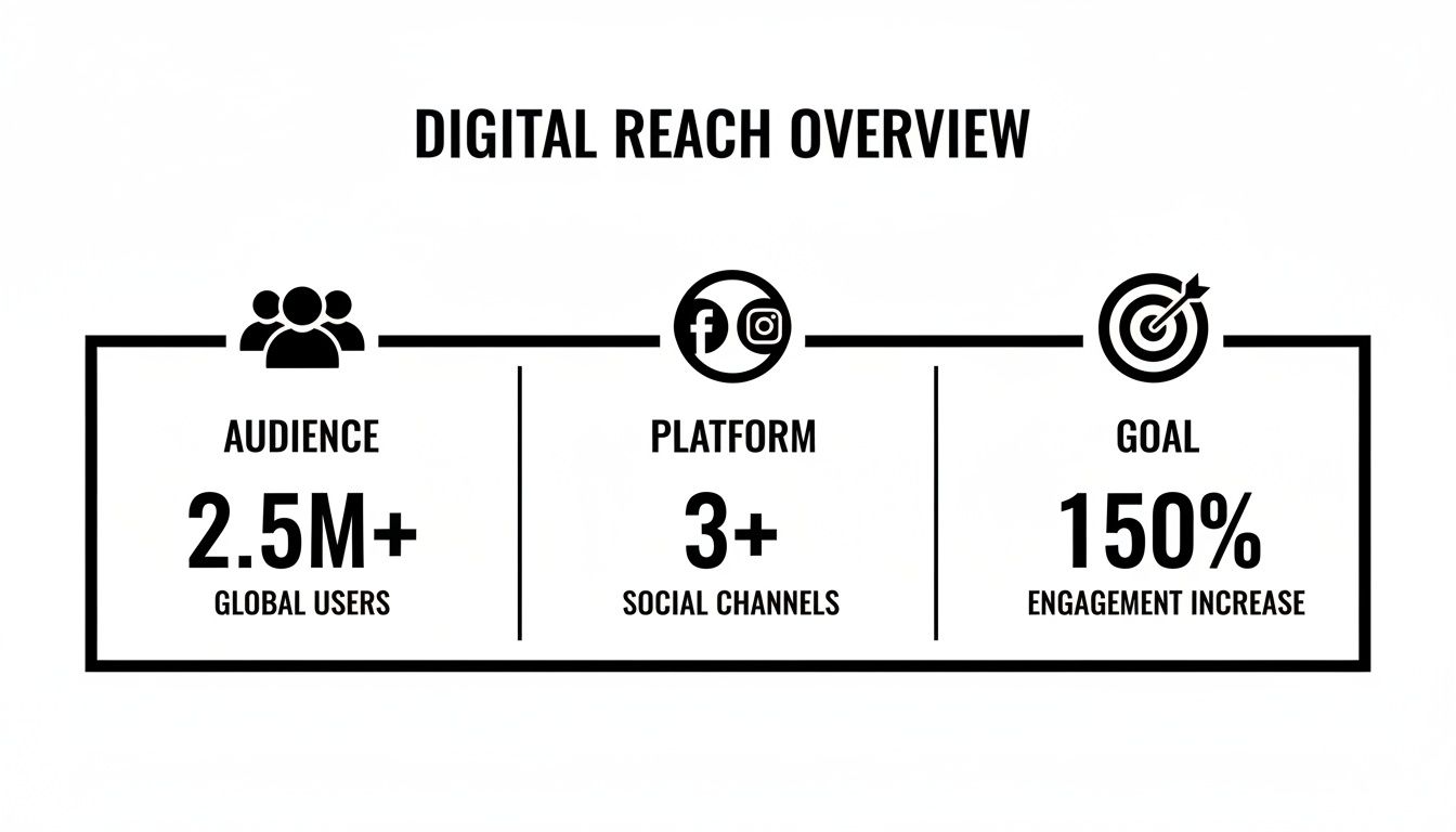 Digital reach overview infographic showing audience, platform, and engagement goal statistics for social media.