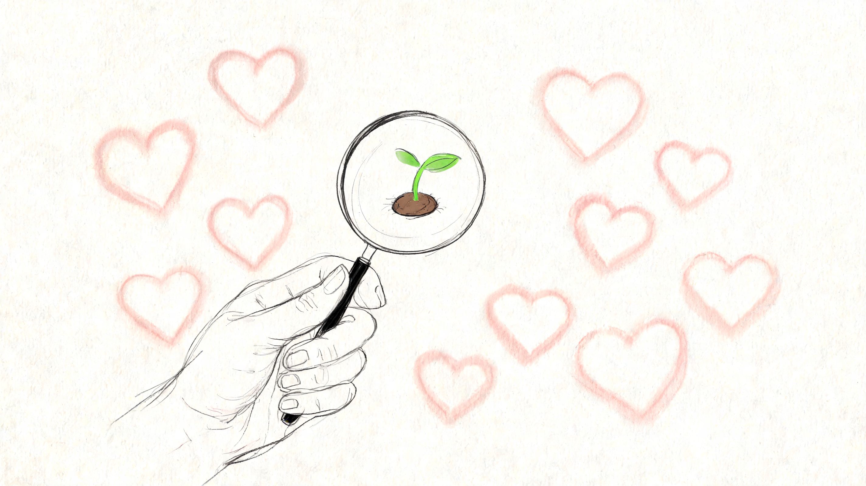 A hand holding a magnifying glass over a small green seedling surrounded by drawn hearts.