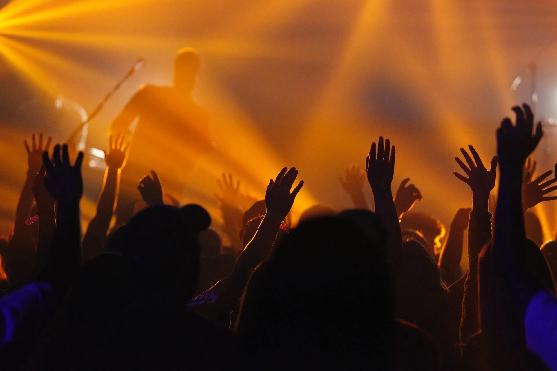 people at the concert