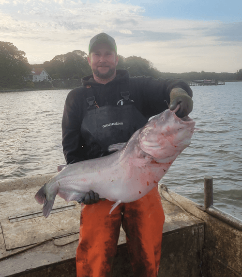 image of gadget innovations