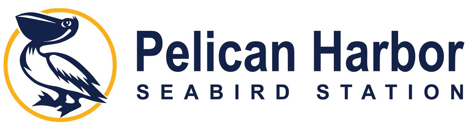 Pelican Harbor Seabird Station logo with stylized pelican in yellow circle.