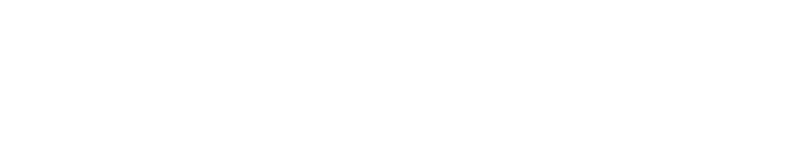 Tamron