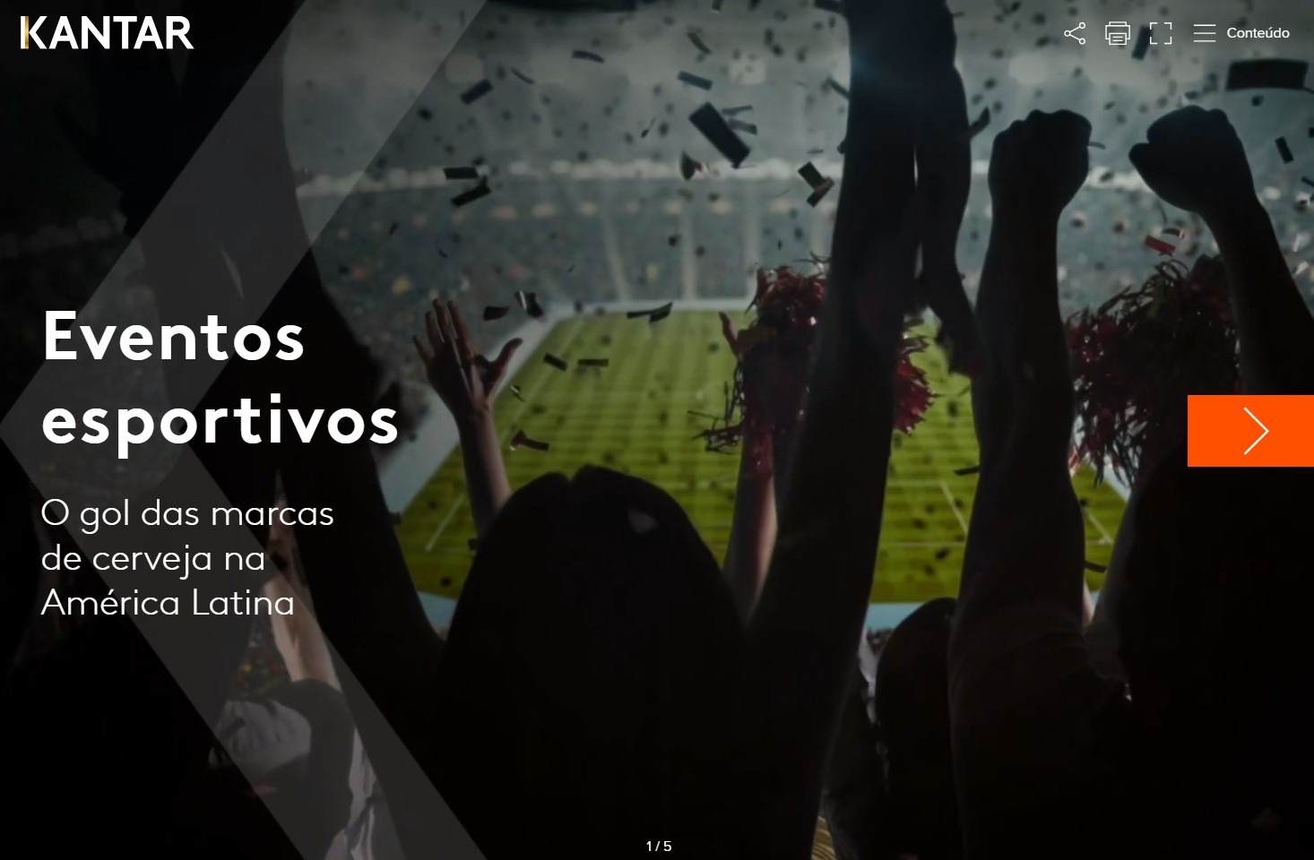 Turtl Beer ans Sports