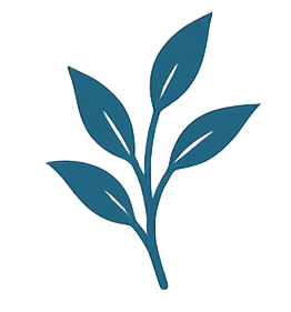 Floral petals evoking tranquility and reflection — Life Coaching and Mental Health Support in Lorain County.