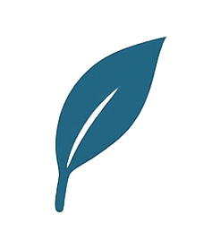 Soft flower petals symbolizing peace and healing — Moments With Mrs. T Life Coaching & Mental Wellness in Cuyahoga County.