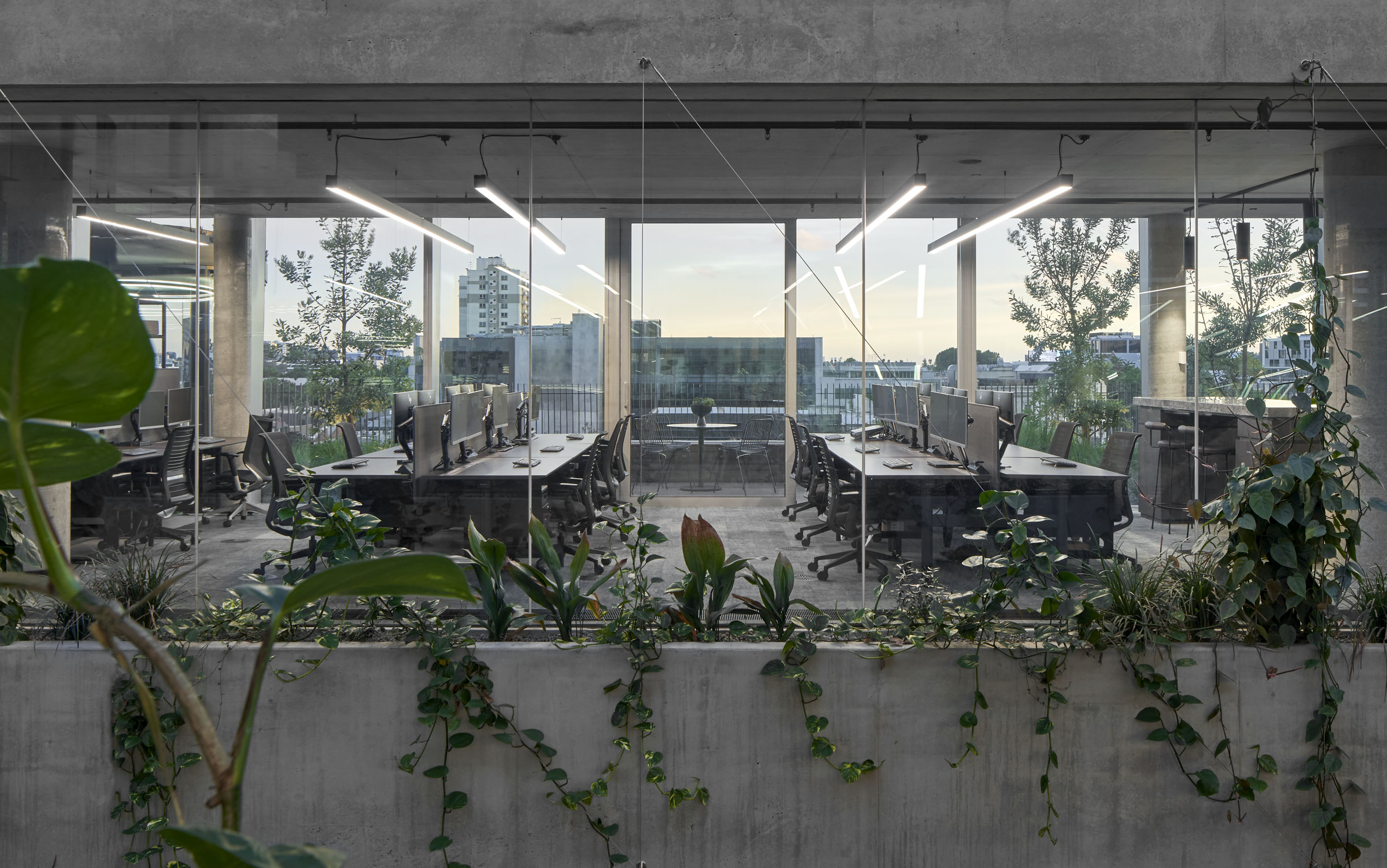 Interior photograph of the office at Market Lane Melbourne