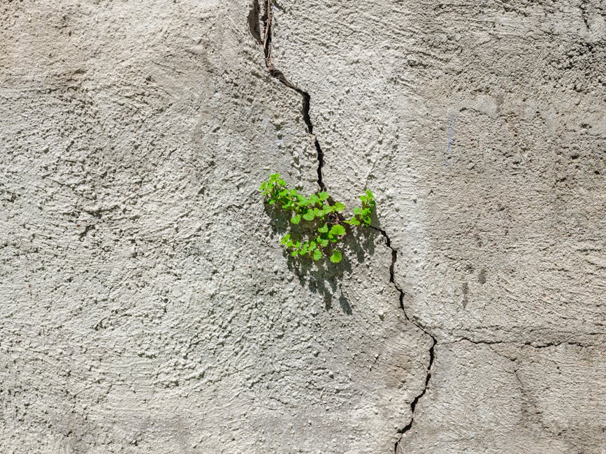 Beyond Rectification: Building Resilience into Complex Commercial Projects from the Outset in Melbourne