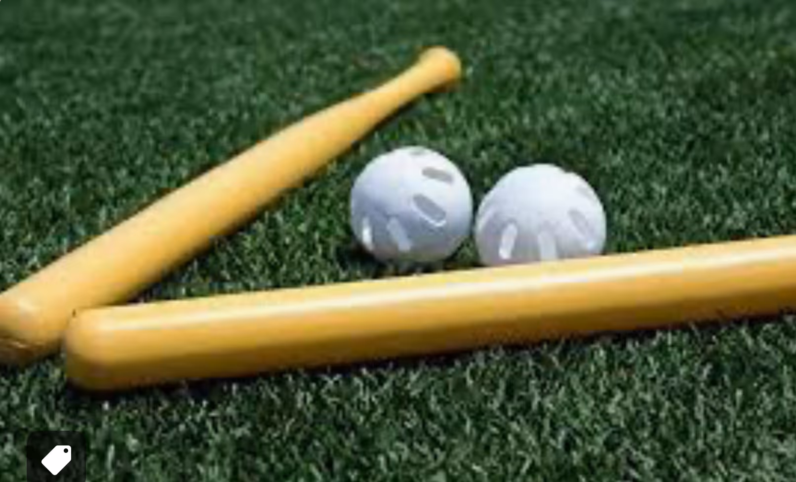 Kids playing wiffleball