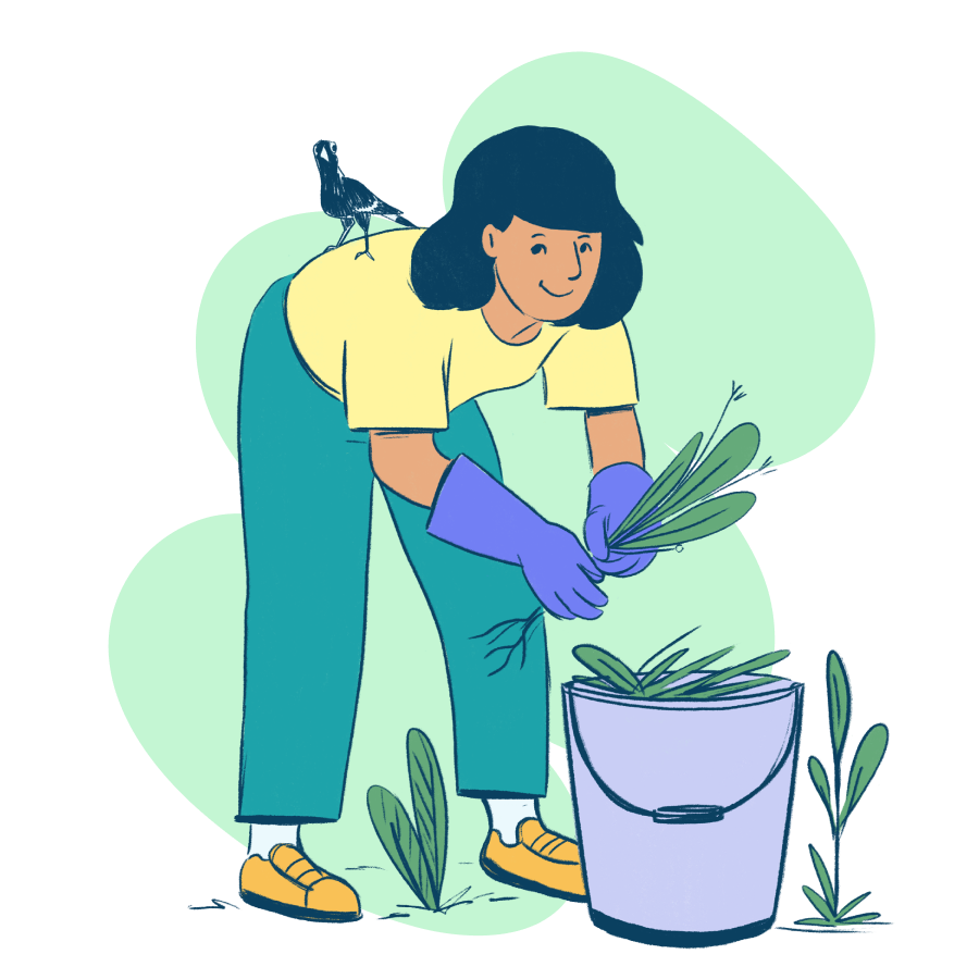 Gardening & home maintenance