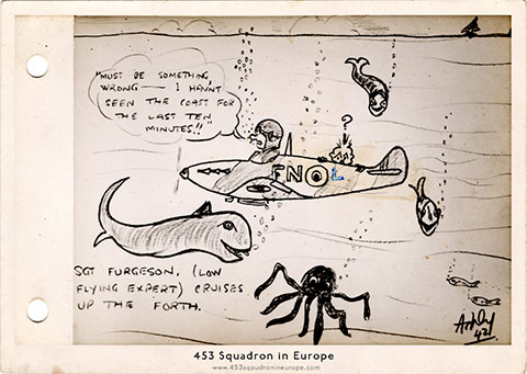 A cartoon of Jim Fergusons low flying incident