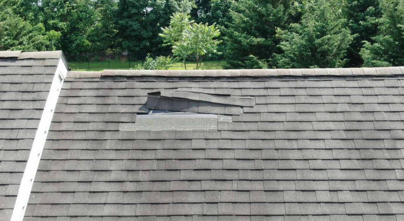 signs of roof damage