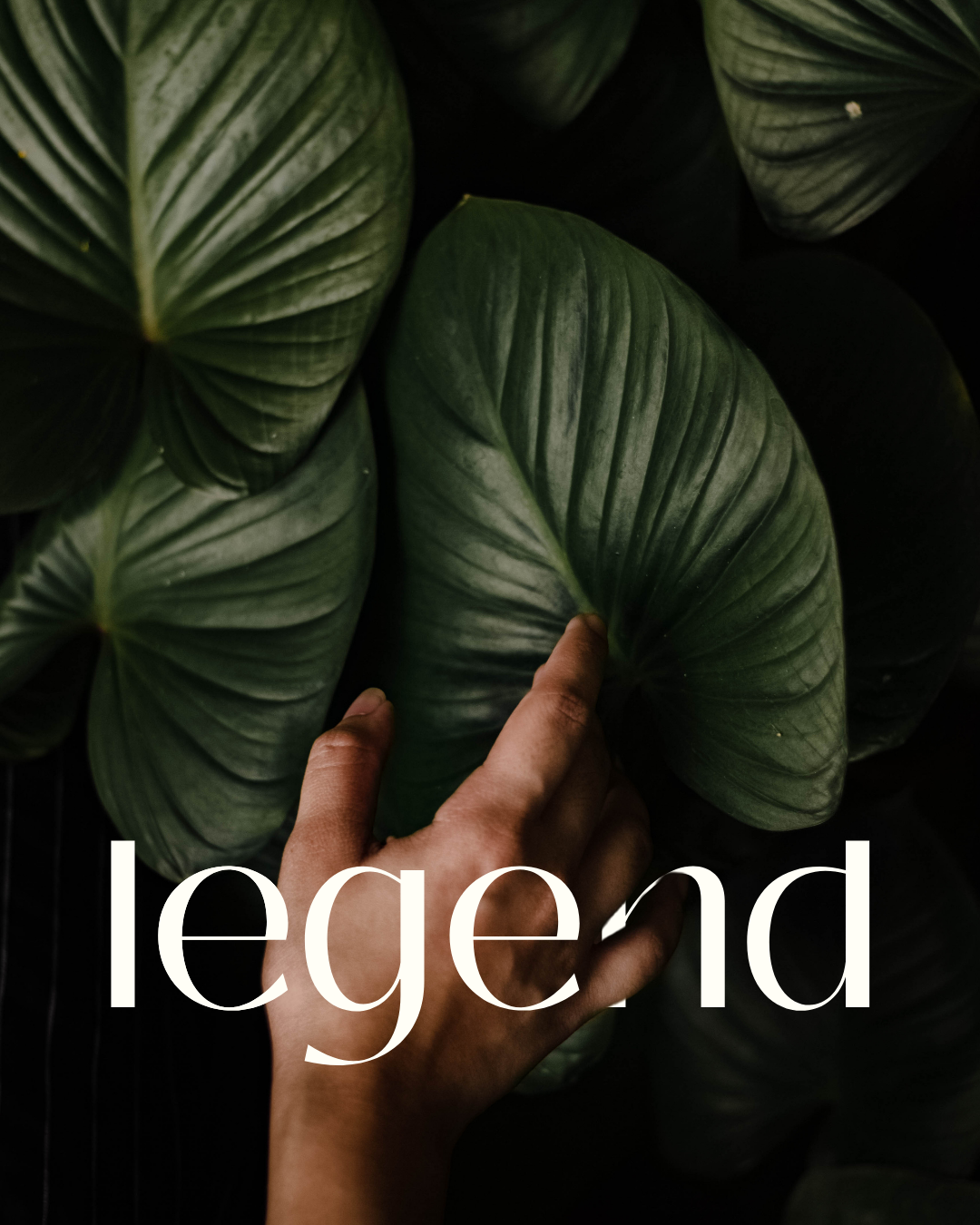 be a legend by design