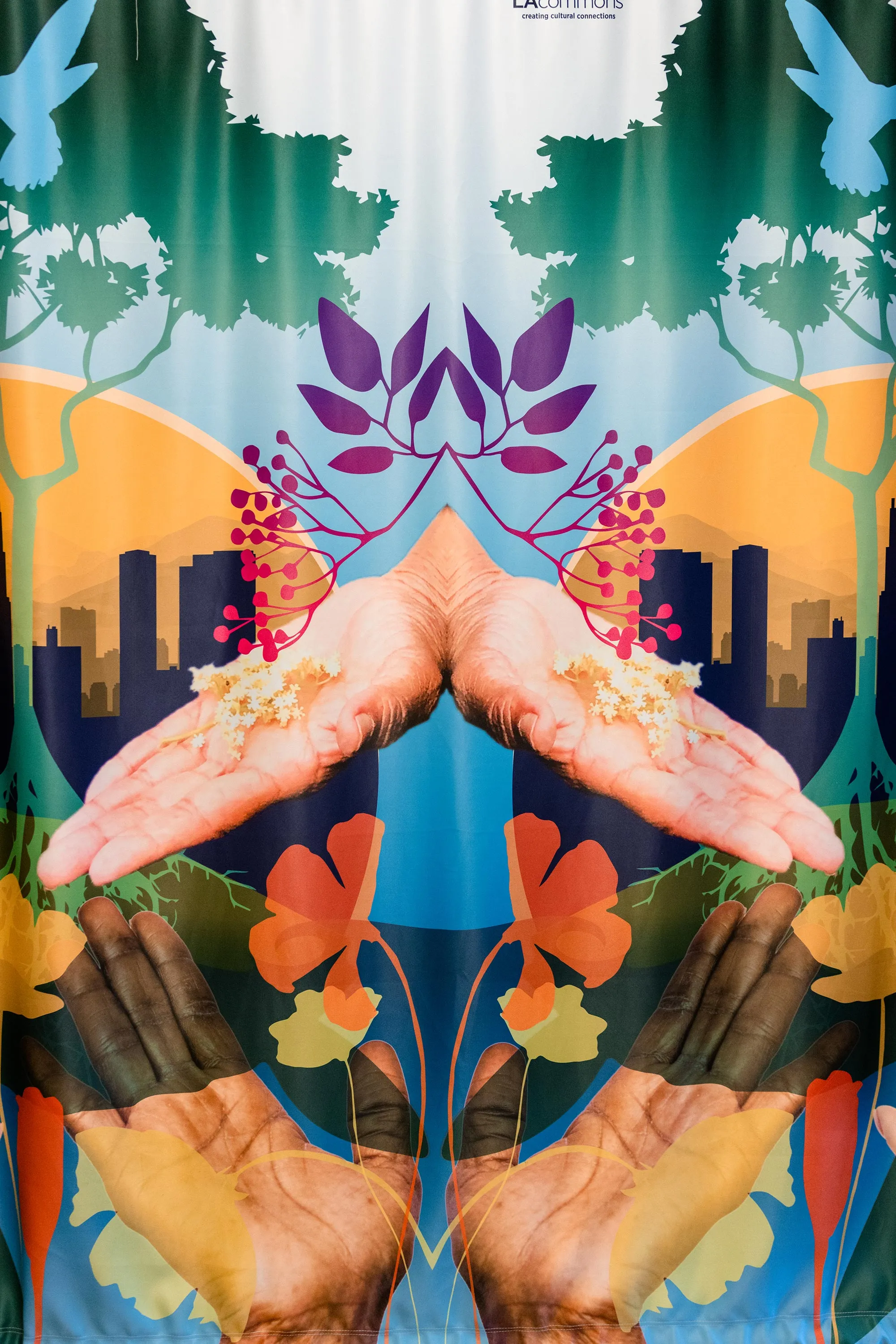 Dignity and Power Now Roots Image