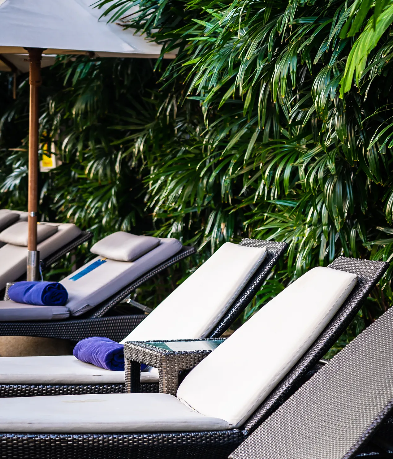 sun loungers by the pool