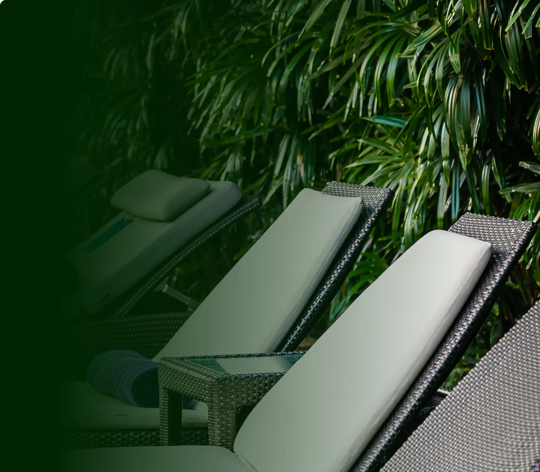 sun loungers by the pool