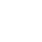 Connetec Languange Icon