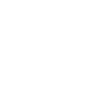 X Platform