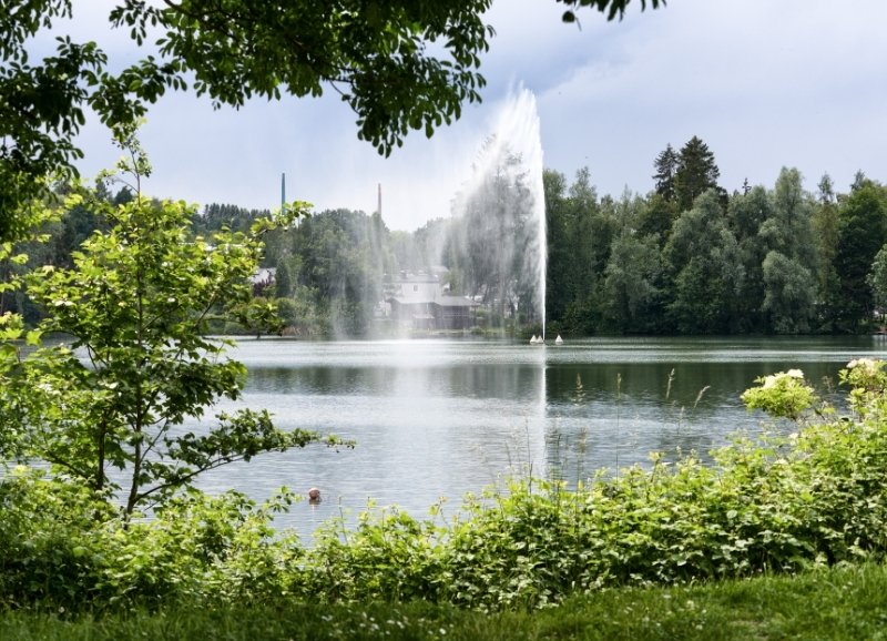 Erlenhofsee am Standort der Steuerberatung remy · kaufmann · schöneberg in Ransbach-Baumbach.