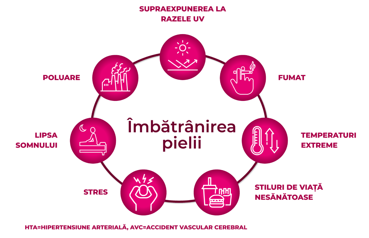Diagrama prezintă factorii de risc pentru îmbătrânirea pielii: razele UV, fumatul, temperaturile extreme, stilul de viață nesănătos, stresul, lipsa somnului și poluarea.