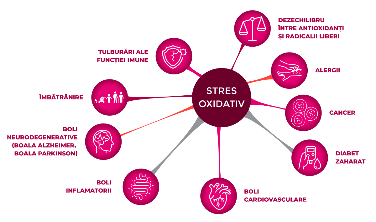 Diagrama arată efectele nocive ale stresului oxidativ asupra organismului, incluzând îmbătrânirea și diverse boli precum cele cardiovasculare, neurodegenerative și cancer.