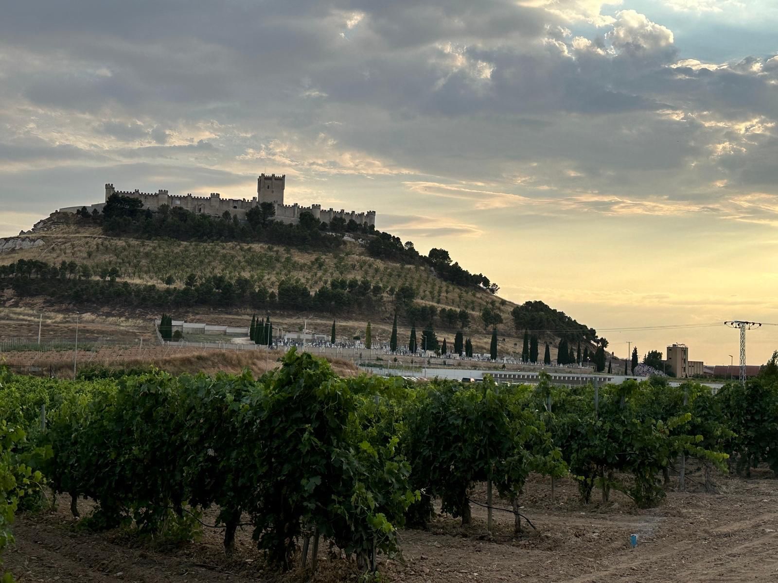 Castillo Peñafiel