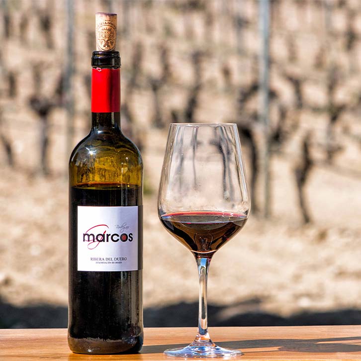 Vino Fondo