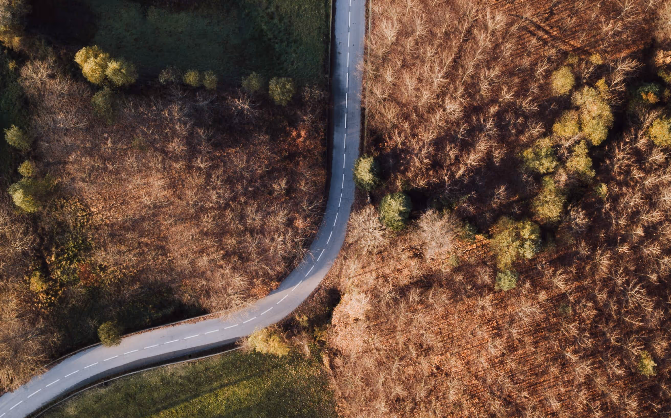 7 Things About Web Design Your Boss Wants To Know