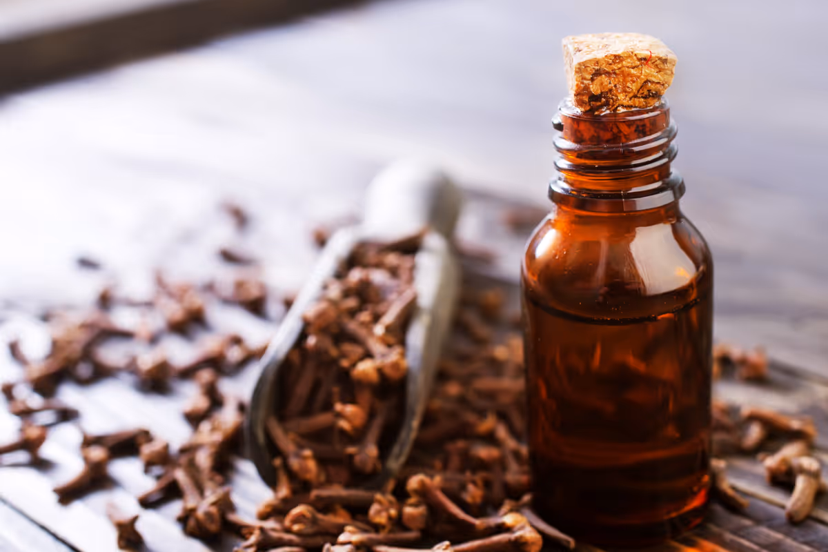 Huile naturelle pour désinfecter des punaises de lit