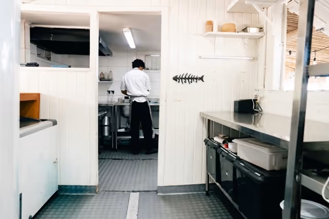 cafard cuisine fix nuisible