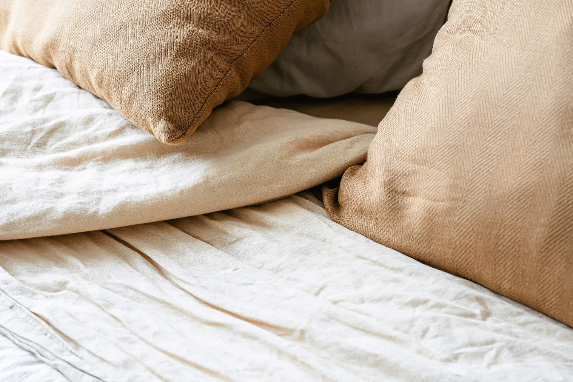 Fix Nuisible - inspection d'un matelas contre les punaises de lit
