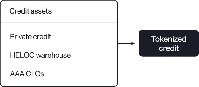 Private credit, HELOC warehouse and AAA CLO assets combined into tokenized credit