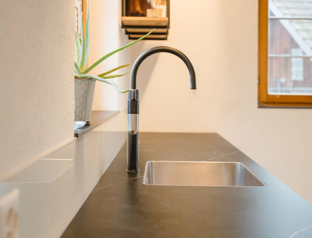 Moderne Küche mit Edelstahlspüle, Wasserhahn und Pflanze im Topf