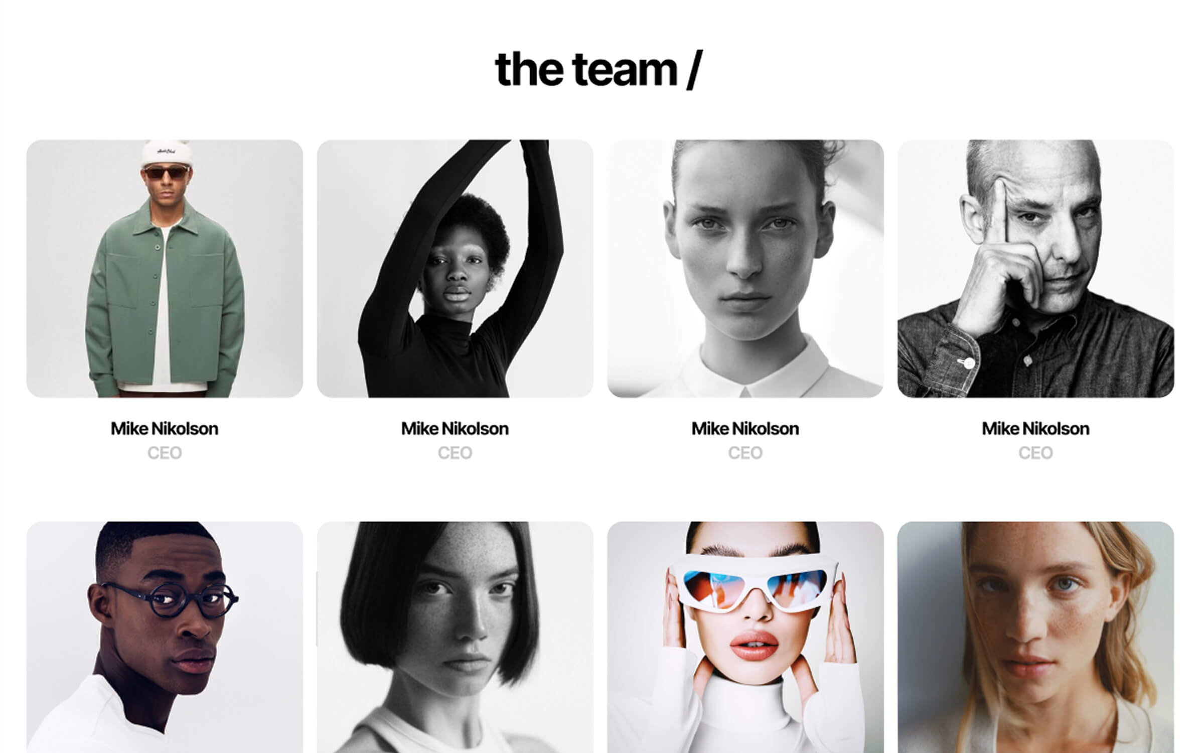 Grid of eight diverse professional portraits with the heading 'the team', each labeled Mike Nikolson, CEO.