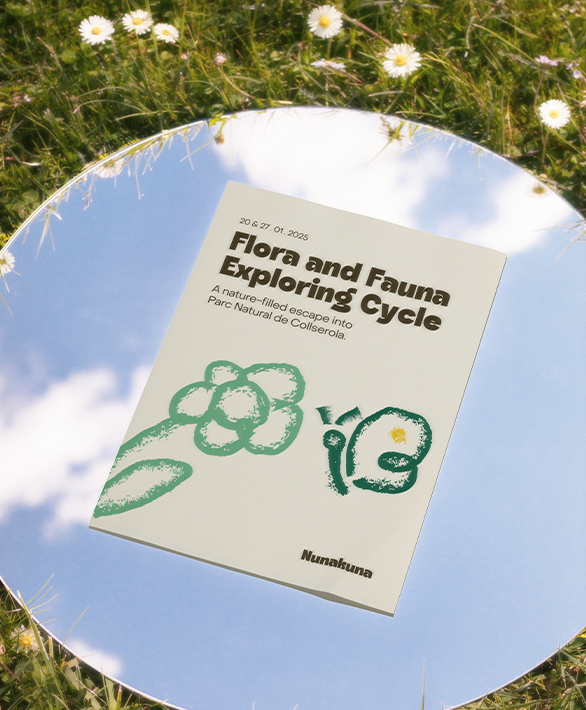 Book titled 'Flora and Fauna Exploring Cycle' with a simple flower and butterfly illustration, placed on a round mirror reflecting the blue sky and surrounded by grass and daisies.