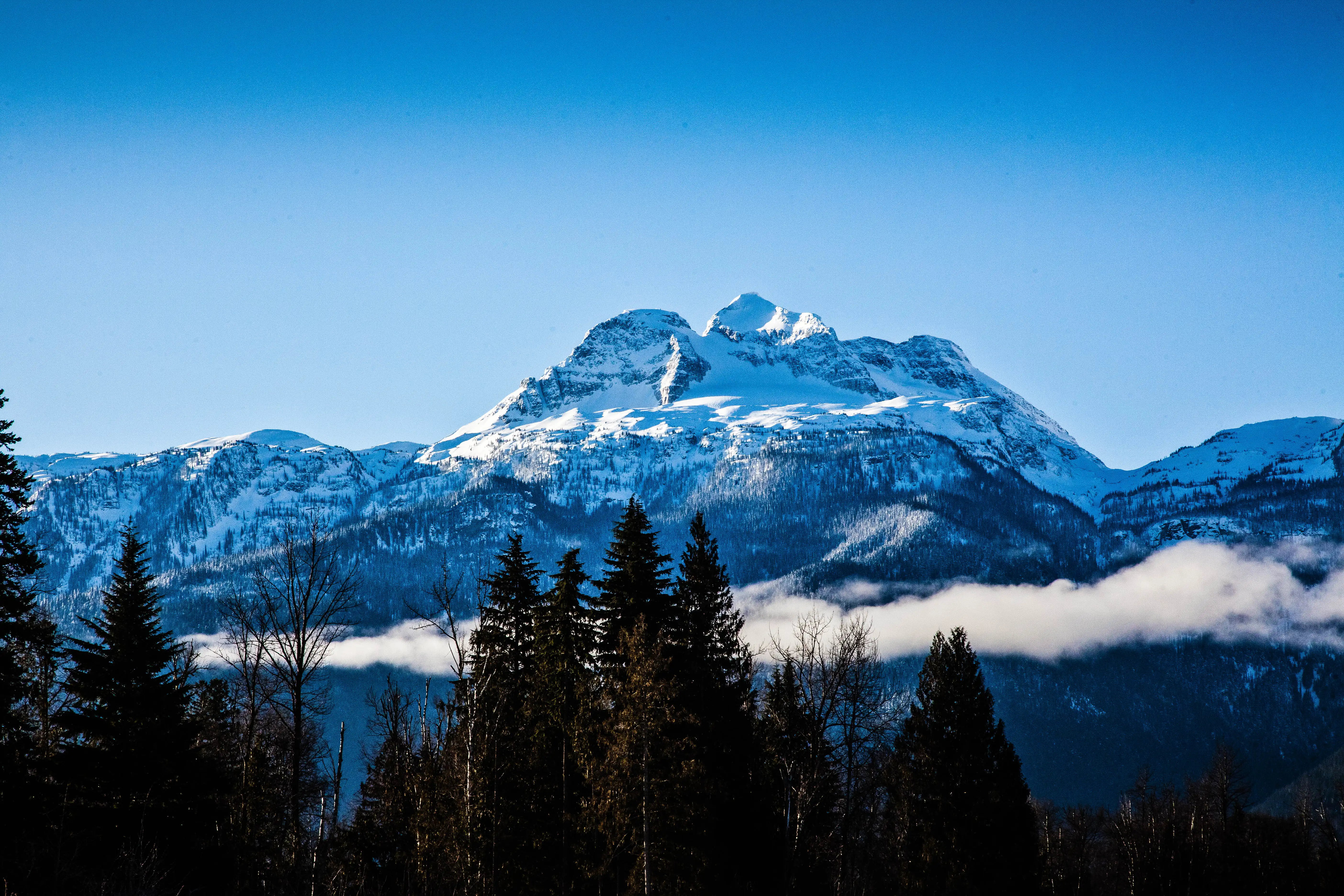 Snow-capped mountain peaks rise majestically against a clear blue sky, framed by evergreen trees and wispy clouds below