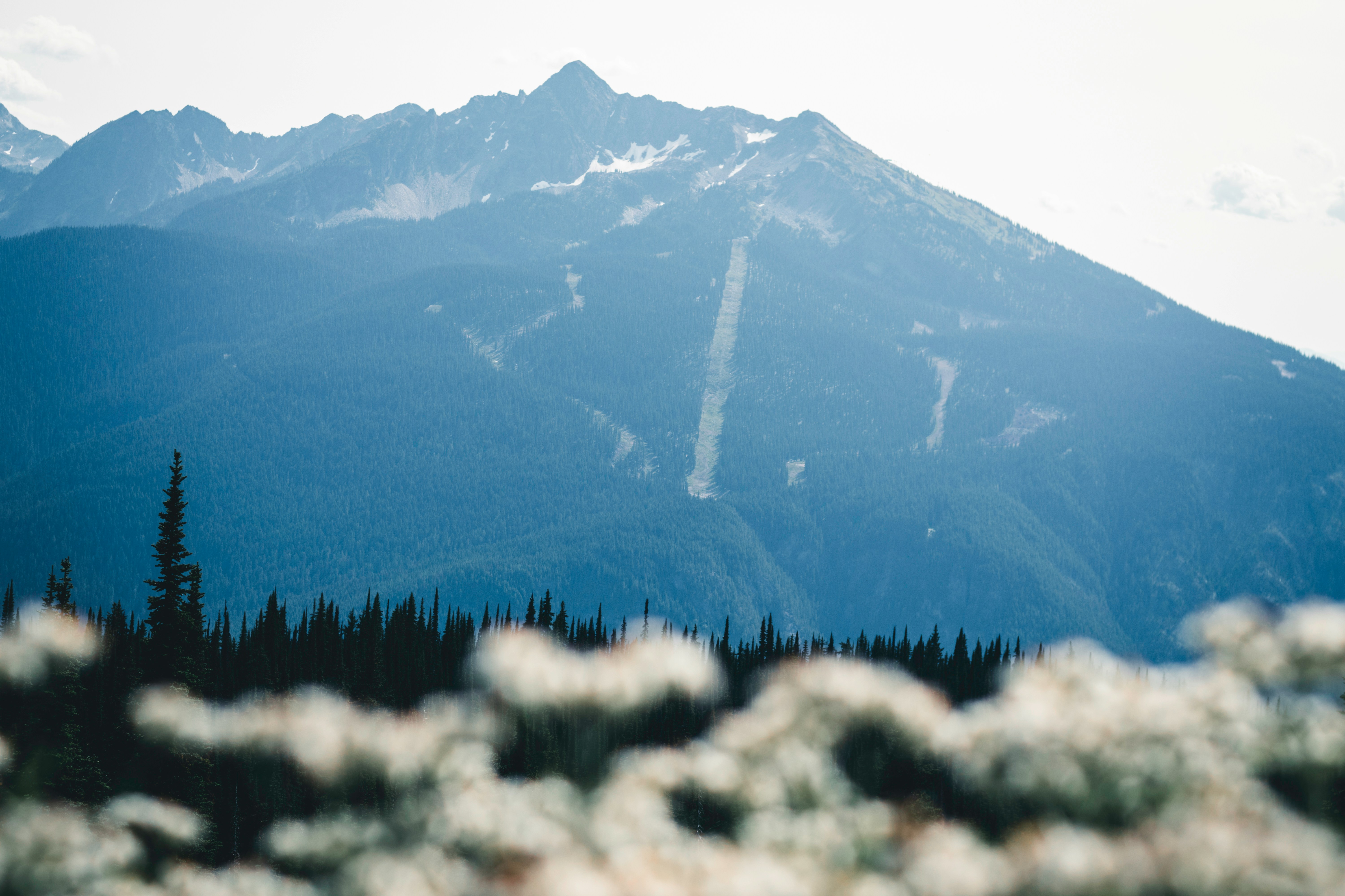 Mountain range in the background with a winding road visible, showcasing a scenic landscape